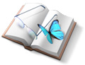 Introducing the MorphOS Library